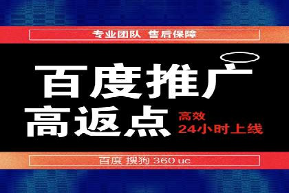 解析SEM推广代运营公司的成功案例及效果